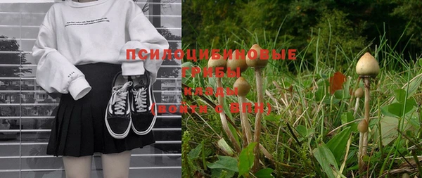 МДПВ Белоозёрский